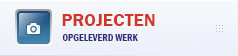 Projecten